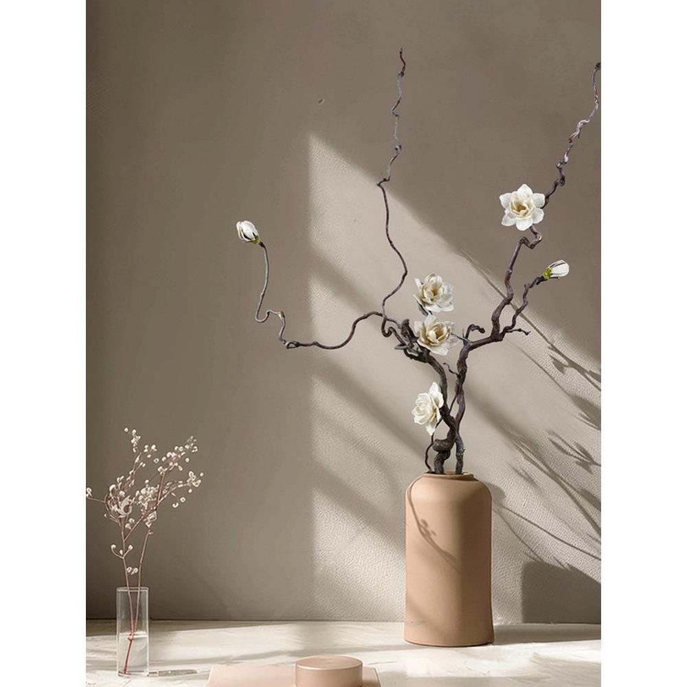 干支花束龙枣干枝栀子花术造型插花客厅落地干花花束真花装饰文艺