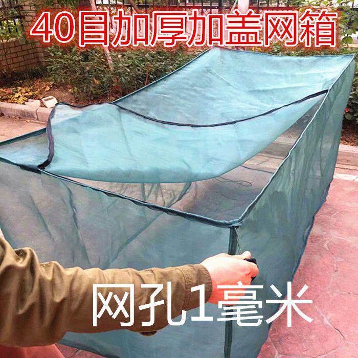 2023新款40目L型拉链加盖网箱 泥鳅养殖网箱 黄鳝网箱 养鱼网箱