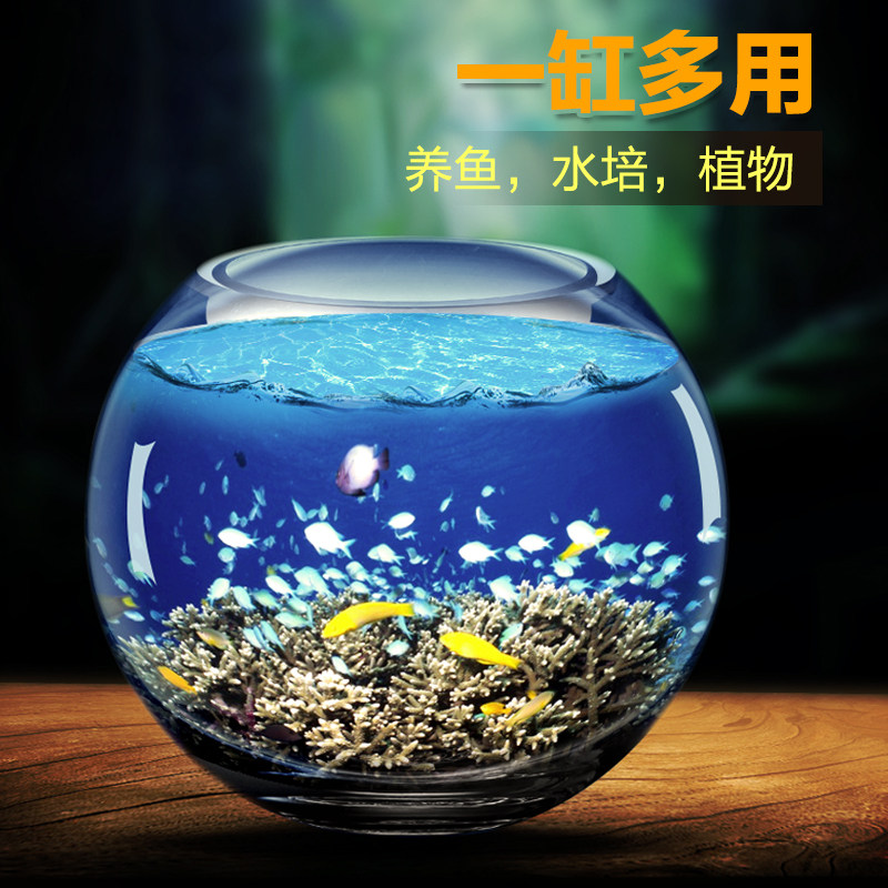 鱼缸玻璃圆形家用大小号加厚桌面装饰客厅办公室招财生态超白鱼缸,宠物/宠物食品及用品,桌面缸,淘宝优惠券,粉丝福利购,淘宝优惠卷