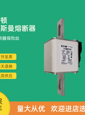全新快速熔断器保险170M5742 170M5743 170M5744 170M5745
