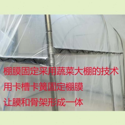 钢管大棚蔬菜温棚温室花棚暖房花房保温棚养殖暖棚钢架骨架攀爬架