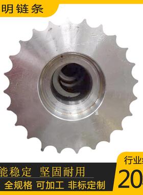 加工非标定制06B08B10A12A开孔键槽单排双排工业传动链轮螺旋齿轮