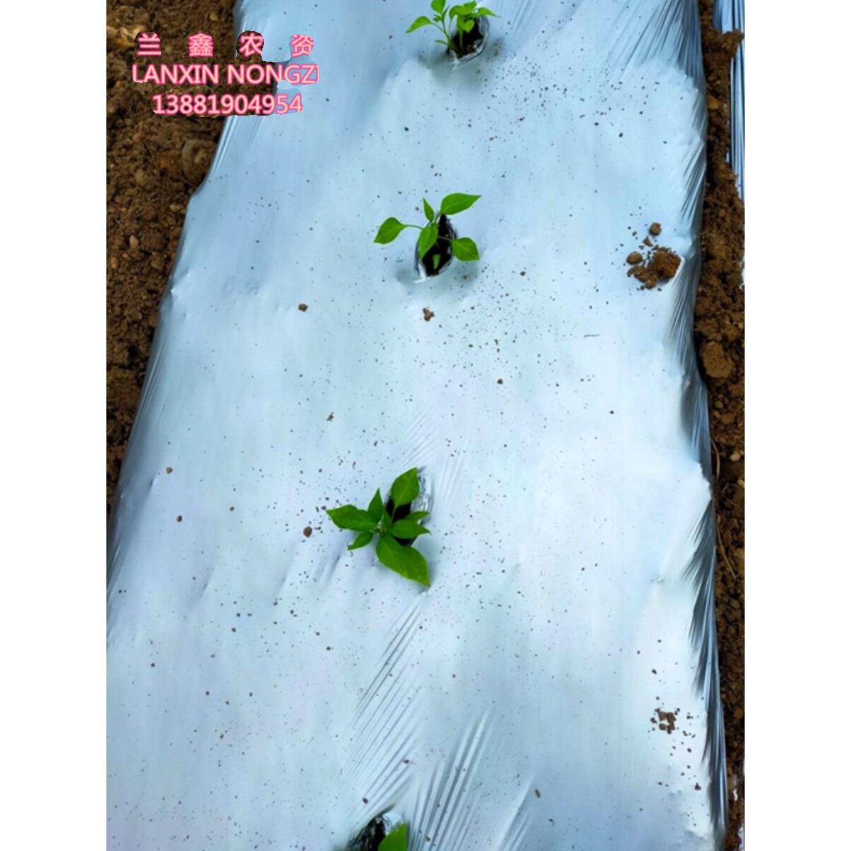 农用塑料薄膜银灰膜双色膜银黑膜反光除草增色草莓地膜大棚农膜
