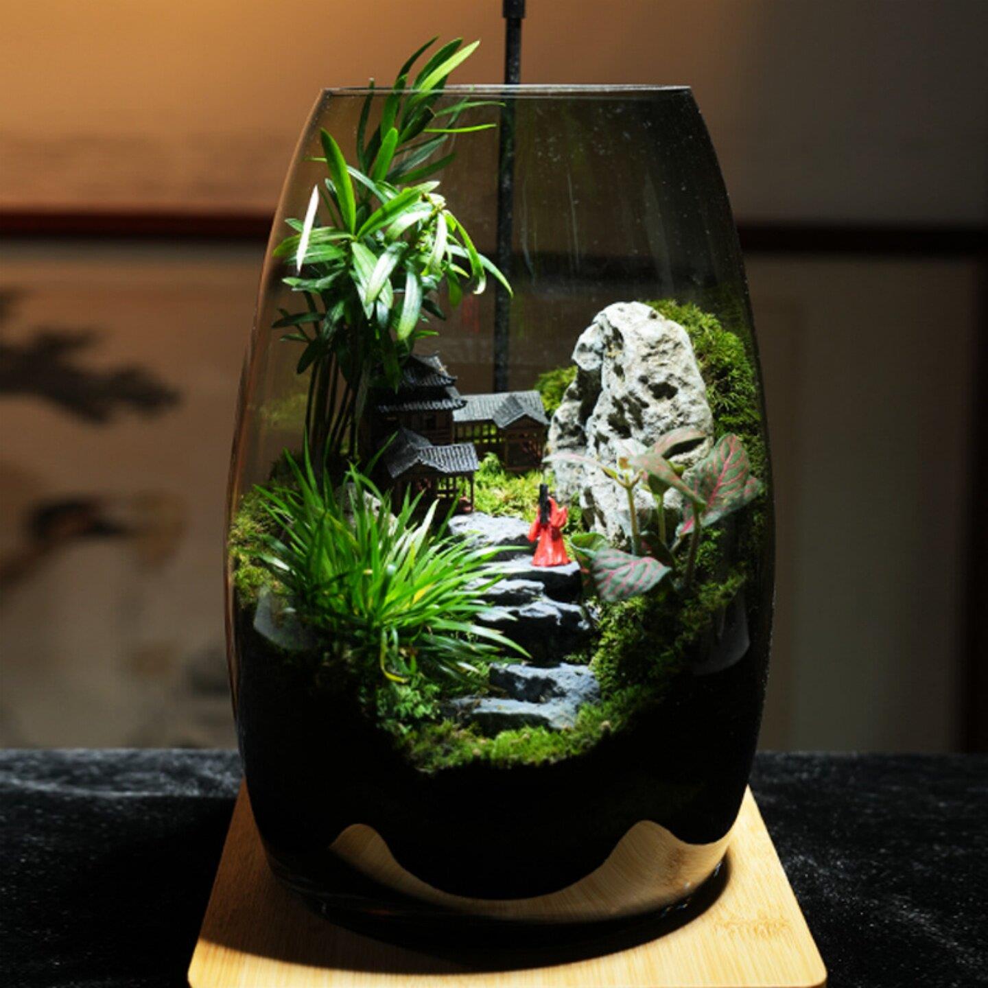 【青苔山海间】桌面微景观生态瓶苔藓植物石头造景摆件新中式装饰