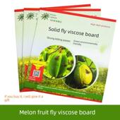 果实蝇粘胶板瓜果实蝇诱虫板实蝇针蜂贴粘板果园农用粘虫板20片包
