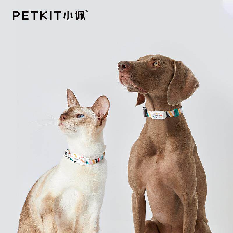 小PETKIT佩宠物智能猫牌狗牌狗狗活动检测穿戴设备蓝牙寻猫狗