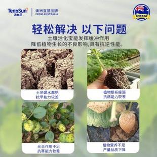 高档汤本臣2号活化剂宝矿源黄腐酸钾黑水肥料营养液改良剂1号活力