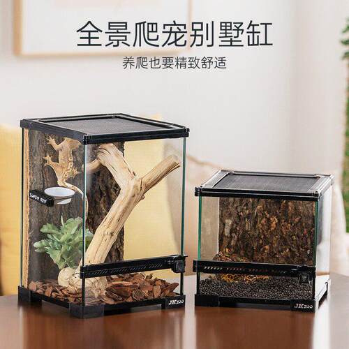 JKZOO爬虫雨林生态造景缸爬宠饲养箱蜥蜴睫角R属守宫角蛙饲养缸
