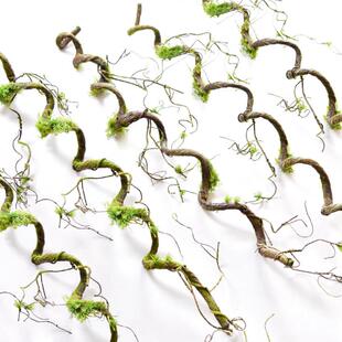 彷真苔藓树藤枯藤森系墙壁造景装饰藤蔓假藤条青苔藤树枝缠绕绿植