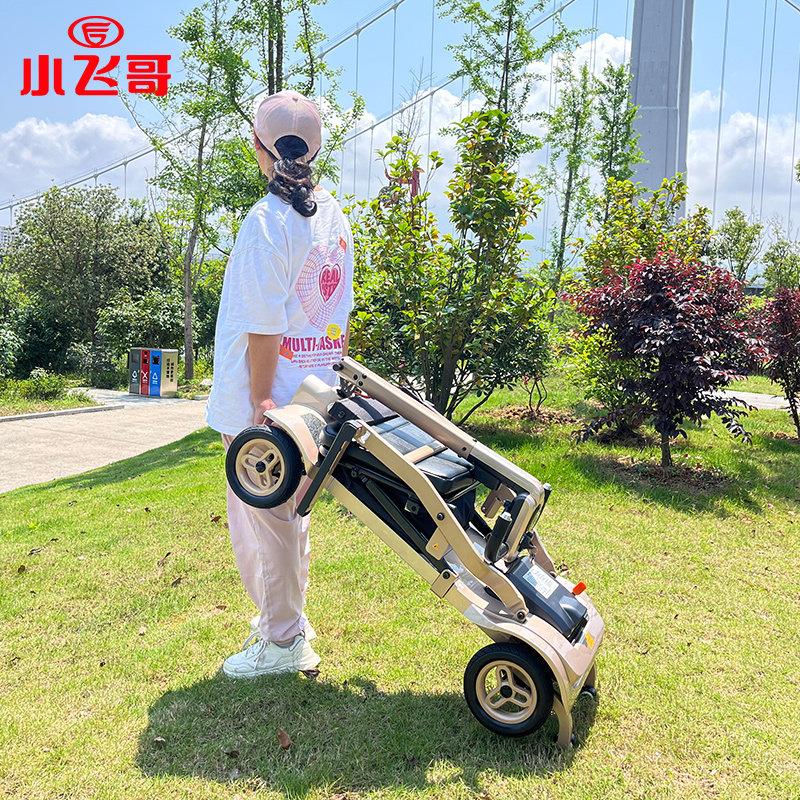 小飞哥老年代步车四轮车残疾电瓶车老人助力电动车接送孩子可折叠