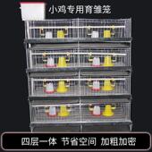 加粗加密小鸡笼育雏笼养殖雏鸡笼子鹌鹑笼鸭苗小鸭子笼