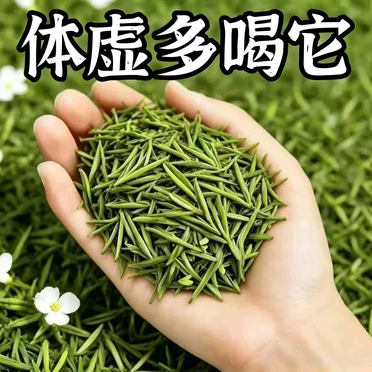 出汗多止汗】补气不足体虚出汗自汗盗汗出虚汗补益气男女虚汗茶