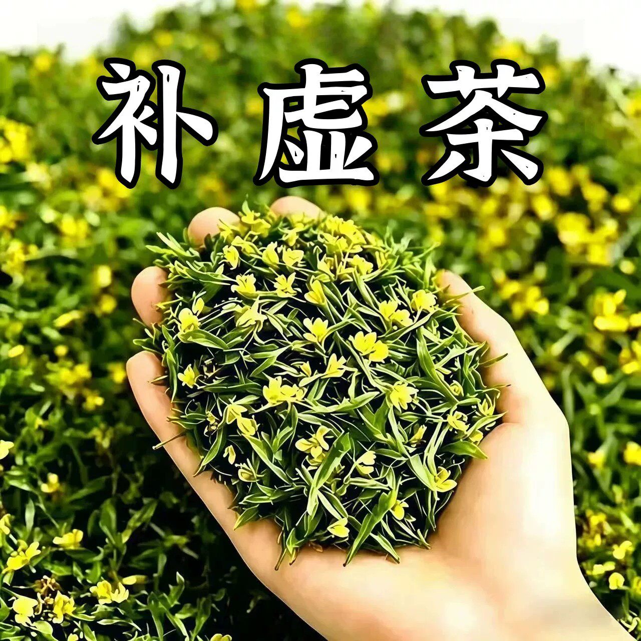 出汗多止汗】补气不足体虚出汗自汗盗汗出虚汗补益气男女虚汗茶
