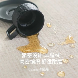 家用客厅地毯侘寂风卧室床边毯高级沙发茶几现代防水防滑地垫 新款