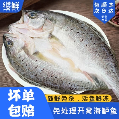 开背海鲈鱼新鲜冷冻鲈鱼半成品