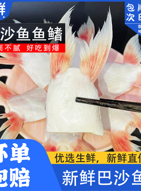 巴沙鱼鳍新鲜冷速急冻鱼肥油鲜活鱼翅鮰鱼鳍鱼腩安康鱼商用批发