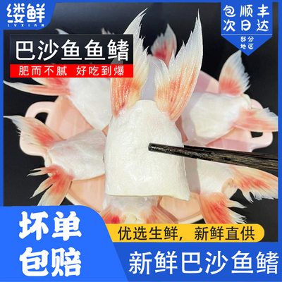 新鲜巴沙鱼鳍鱼腩鱼肥油商用批发