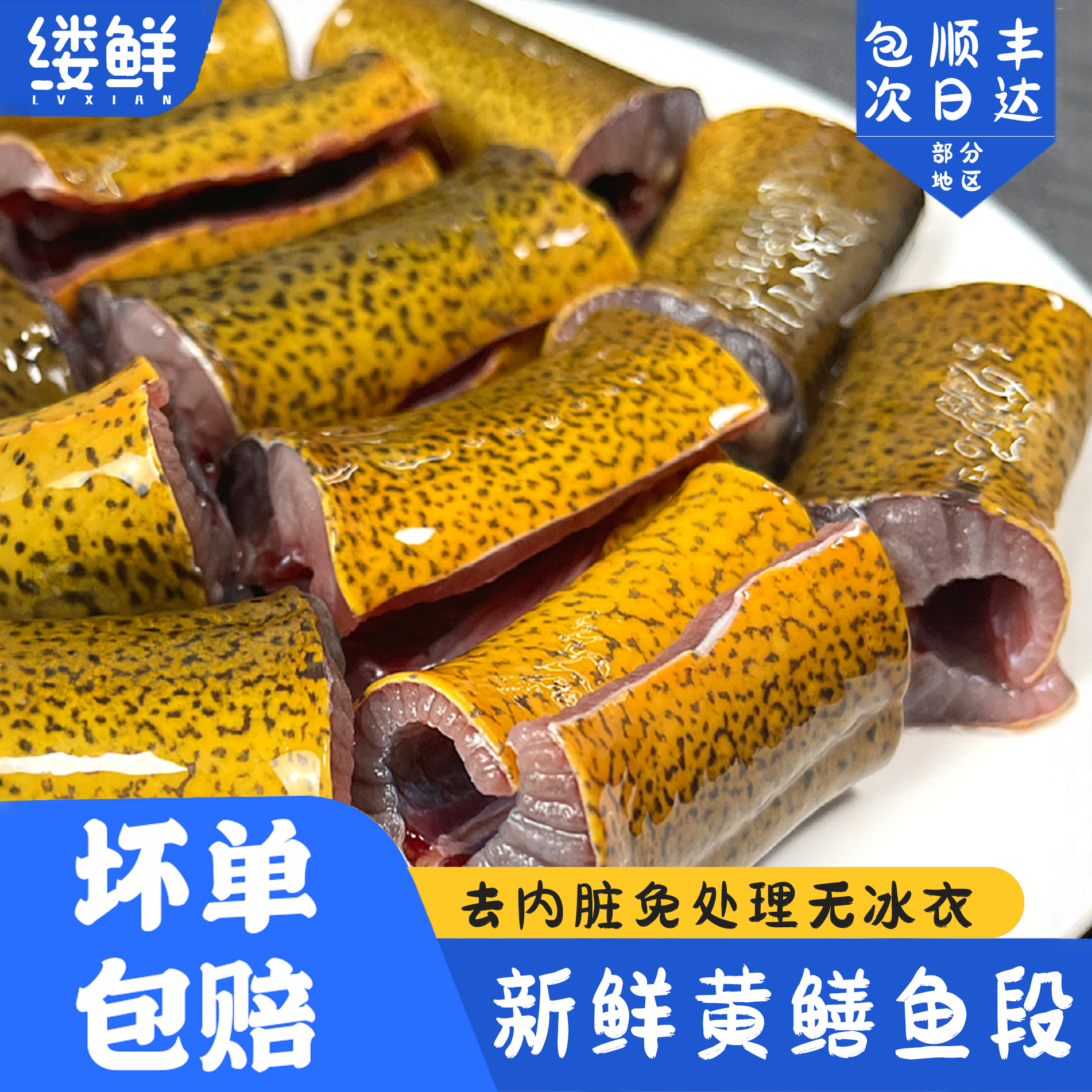 新鲜土黄鳝鱼段免清理去脏鲜活