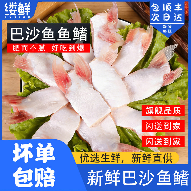 新鲜巴沙鱼鳍冷速急冻鱼肥油鲜活鱼鳍翅鮰鱼腩安康鱼餐饮烧烤商用