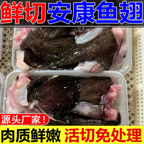 深海安康鱼翅膀冷冻整箱批发