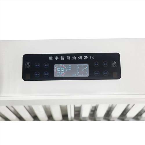 商用油烟净化净一体体机 油烟化烟WL-YZ-16罩一机 德器粤风机 豪
