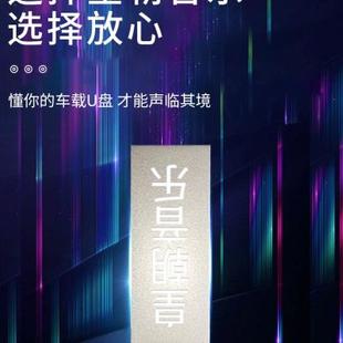 音乐Ｕ盘烟嗓歌曲500首合集家用车载用电脑用无损音质即插即用