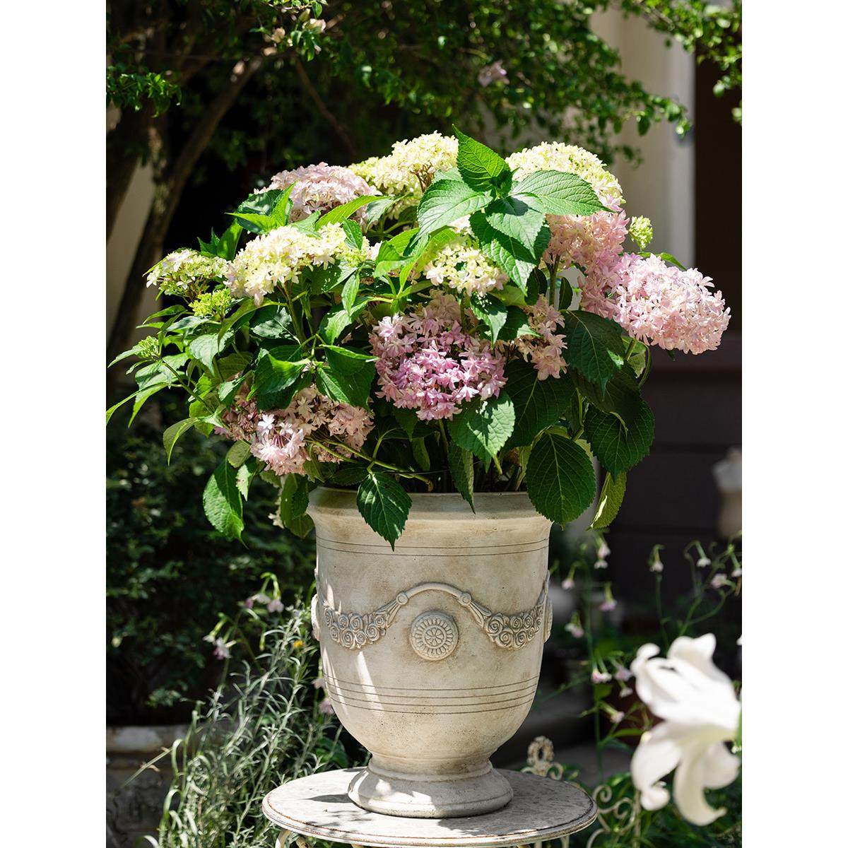 MonetGarden大口径做旧花盆覆古庭院室外花园花器摆件民宿装饰,家居饰品,花盆,淘宝优惠券,粉丝福利购,淘宝优惠卷