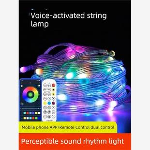 LED声控串串灯幻皮线灯户外防水氛围灯带流水节奏露营圣诞彩灯串