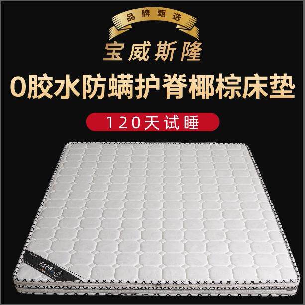 宝威斯隆天然椰棕床垫护脊硬垫可折叠家用榻榻米垫子