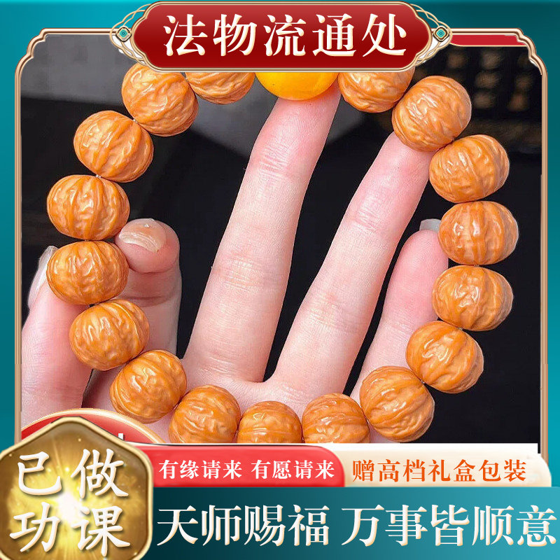【师傅推荐】京八棱凤羽土豪鲨鱼