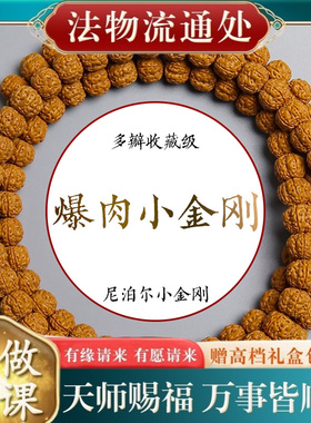 【师傅推荐】天然小金刚菩提子手