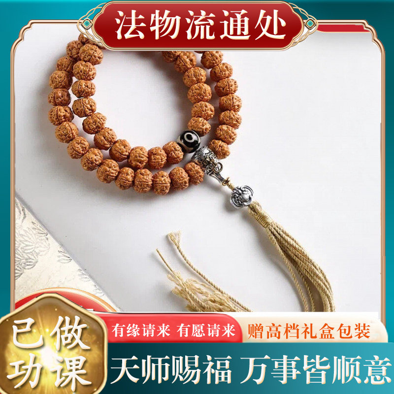 【师傅推荐】爆肉树王小金刚菩提