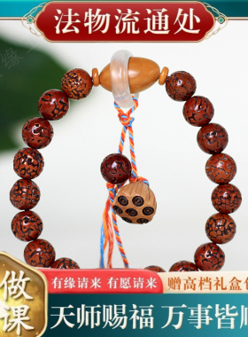 【师傅推荐】金刚菩提DIY莲蓬款