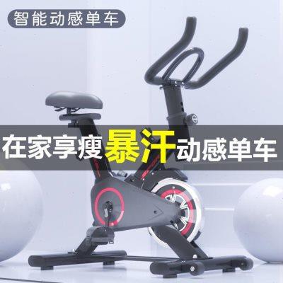 智能动感单车家用室内健身车豪华健身房器材减肥超静音运动自行车