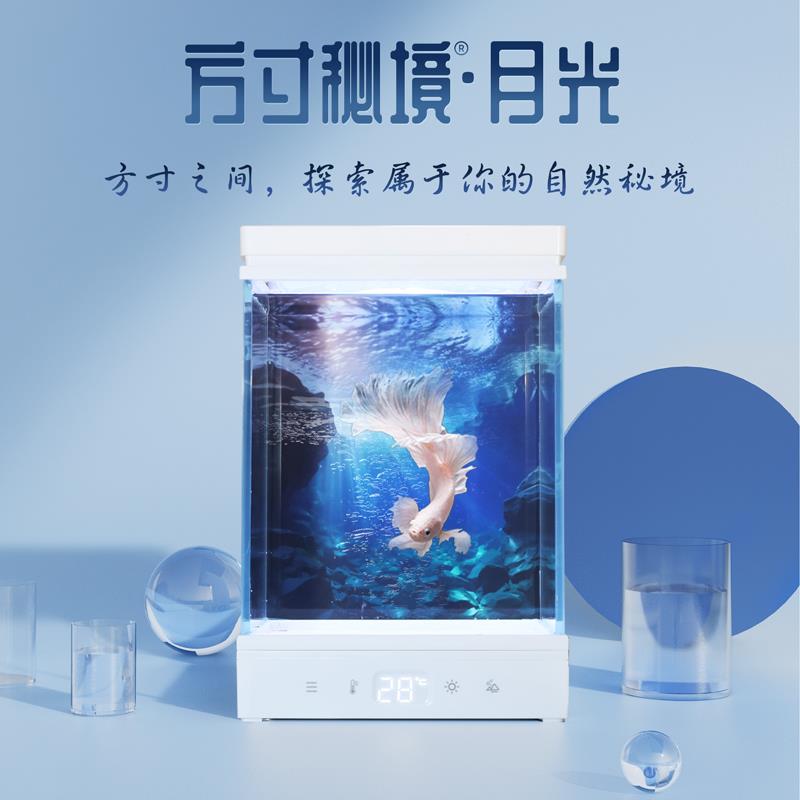 方寸秘境二代月光桌面鱼缸办公室客厅小型热带鱼缸微景观生态造景
