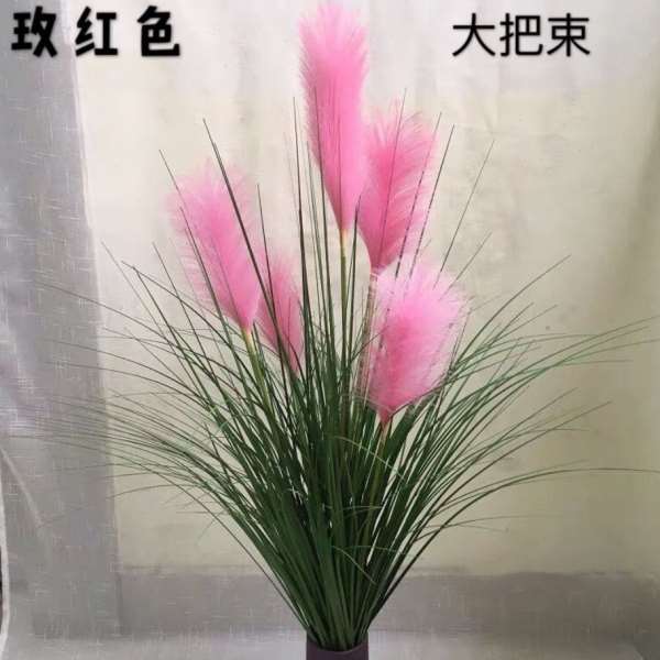 洋葱草芦苇草花狗尾巴草客厅假草假花大束晴天草万百