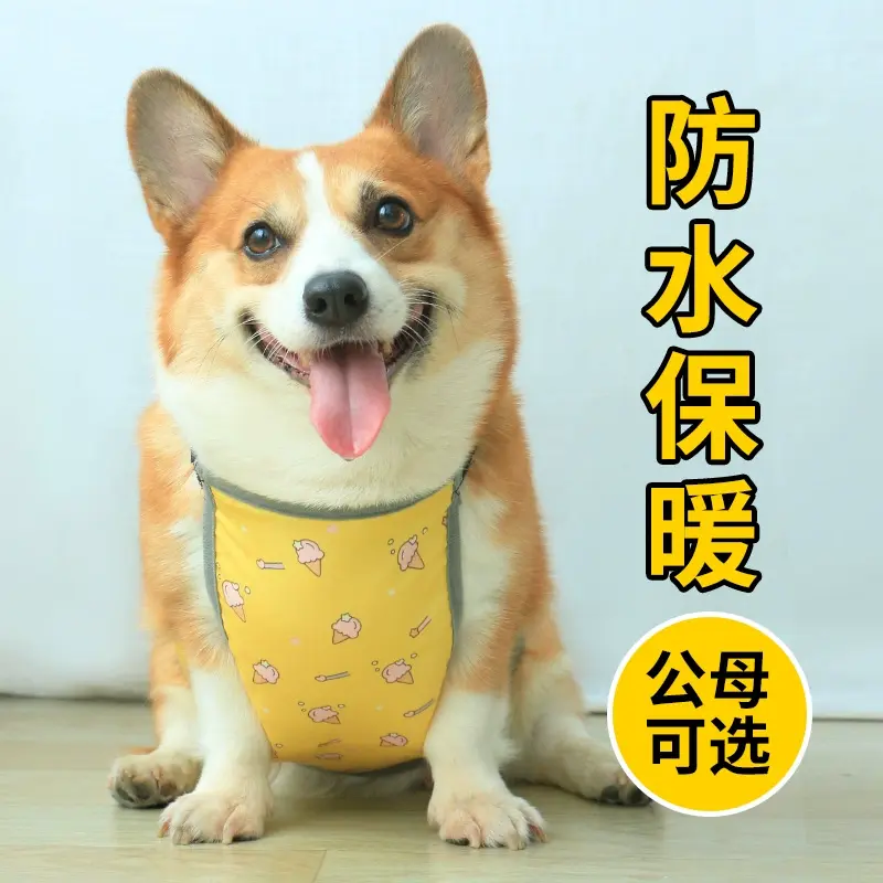 宠物肚兜护肚子衣服狗狗防水雨衣春秋保暖柯基专用防脏夏季防着