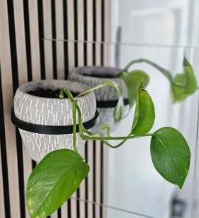 亚马逊跨境 用于隔音板墙花盆支架 植物托盘植物架子绿植悬挂盆栽