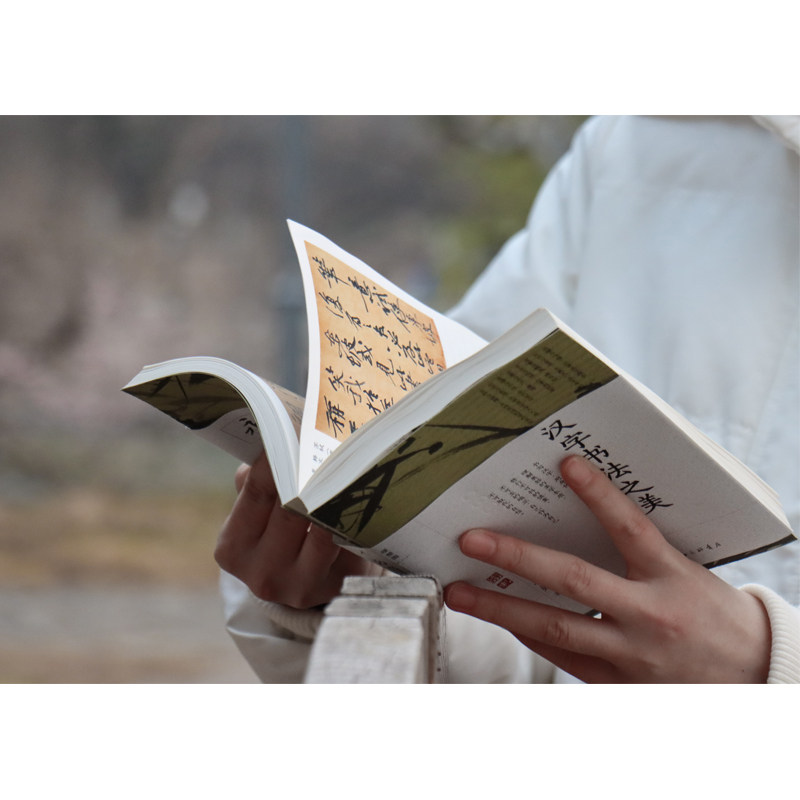 汉字书法之美蒋勋著写给每个中国人的书法美学蒋勋写给你的极简书法史 经典全新修订书法篆刻字帖从甲骨文到行草的艺术与哲学之旅,书籍/杂志/报纸,书法/篆刻/字帖书籍,淘宝优惠券,粉丝福利购,淘宝优惠卷