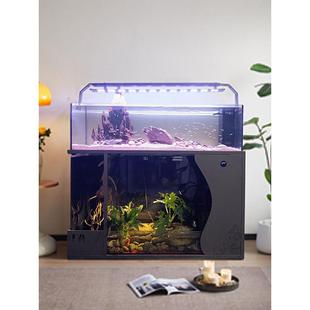 客厅中大型乌龟金鱼一体混养水陆两栖溪流缸底滤免换水造景生态缸