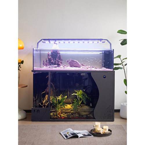 客厅中大型乌龟金鱼一体混养水陆两栖溪流缸底滤免换水造景生态缸