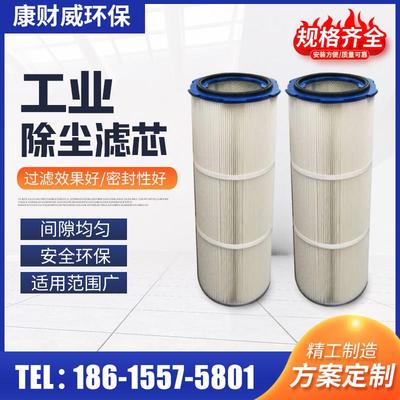 工业除尘滤芯六耳快拆滤筒粉末回收除尘器喷砂抛丸机静电喷塑滤芯