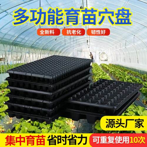 育苗穴盘加厚可降解塑料育苗器蔬菜多肉苗木花卉基质盘整箱