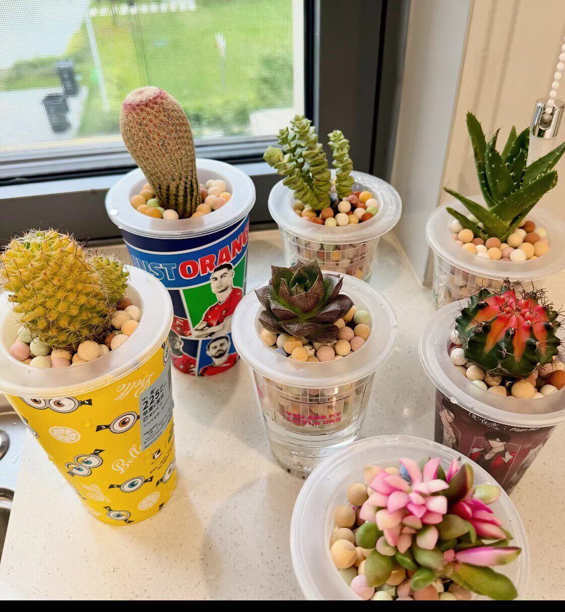 适用瑞幸咖啡杯杯子改造水培定植篮荔枝枇杷牛油果种子固定支架