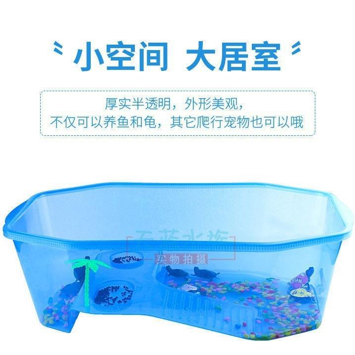 乌龟盒生态造景缸带晒台乌龟缸龟箱家用乌龟周转箱乌龟专用缸八角