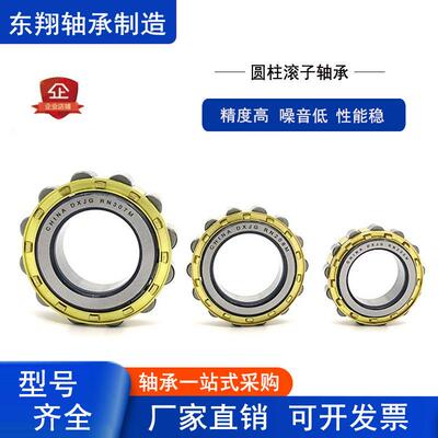圆柱滚子摆线针速机轴承RN204 205 206 307 偏心轴承309 312M