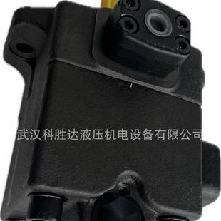 10现货 RAA 高压定量叶片泵PV11R20 油泵PV11R10
