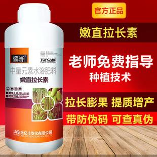 黄瓜丝瓜辣椒拉长拉直膨大素豆角苦瓜葫芦茄子伸长拉长素 500克