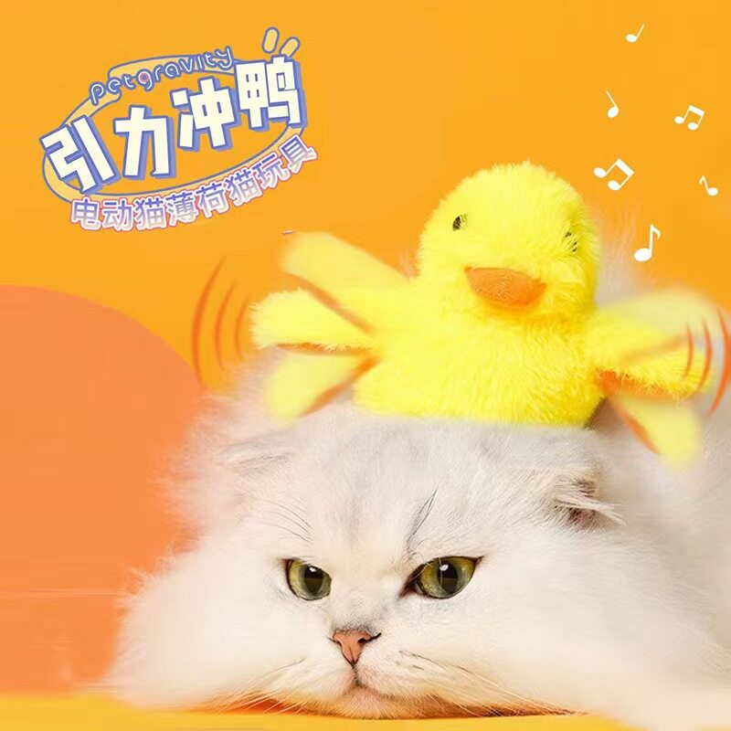 猫咪狗狗宠物玩具引力冲