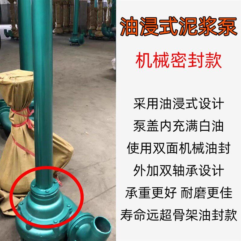 热销NL立式污水不锈钢泥浆泵切割抽粪机污泥两相抽泥机220v单相吸